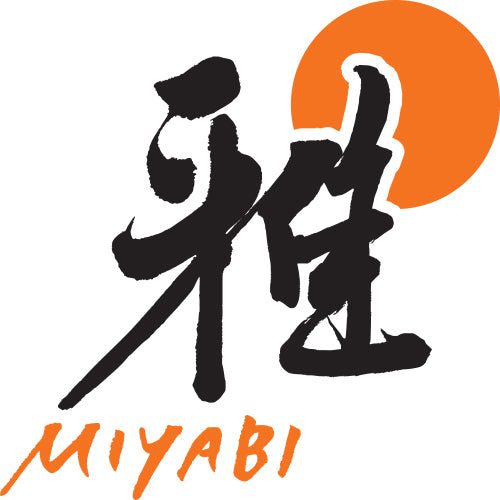 Miyabi Gyutoh 5000MCD 240 Chef Knife (24cm) Birchwood Handle - Ace Chef Apparels